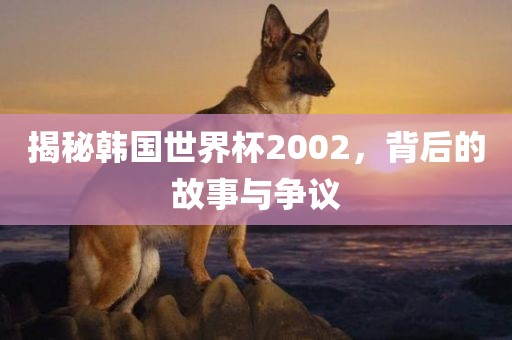 揭秘韩国世界杯2002，背后的故事与争议