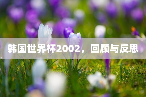 韩国世界杯2002，回顾与反思漯河市盈旭机械设备有限公司