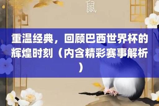 重温经典，回顾巴西世界杯的辉煌时刻（内含精彩赛事解析）漯河市盈旭机械设备有限公司