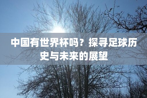 中国有世界杯吗？探寻足球历史与未来的展望漯河市盈旭机械设备有限公司