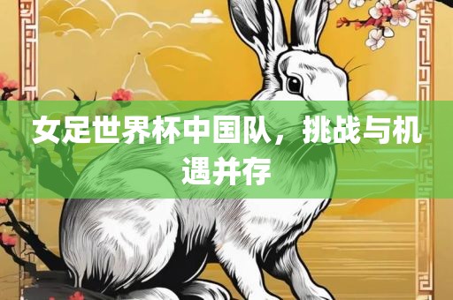 女足世界杯中国队，挑战与机遇并存