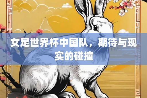 女足世界杯中国队，期待与现实的碰撞漯河市盈旭机械设备有限公司
