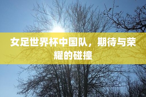 女足世界杯中国队，期待与荣耀的碰撞