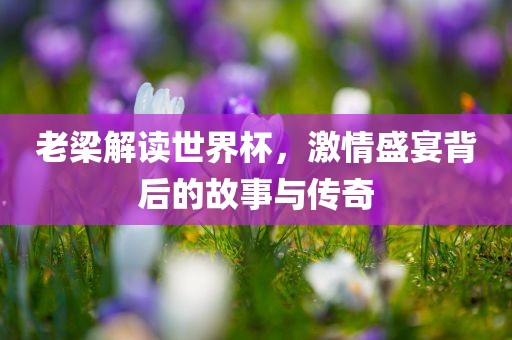 老梁解读世界杯，激情盛宴背后的故事与传奇