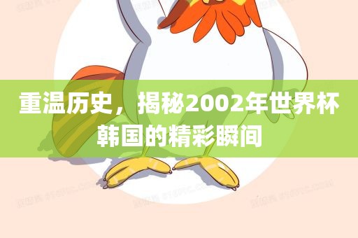 重温历史，揭秘2002年世界杯韩国的精彩瞬间漯河市盈旭机械设备有限公司