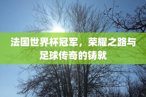 法国世界杯冠军，荣耀之路与足球传奇的铸就