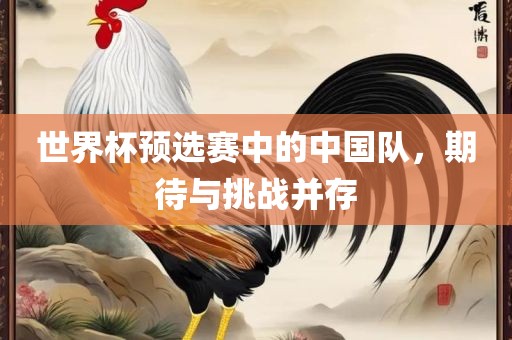 世界杯预选赛中的中国队，期待与挑战并存漯河市盈旭机械设备有限公司