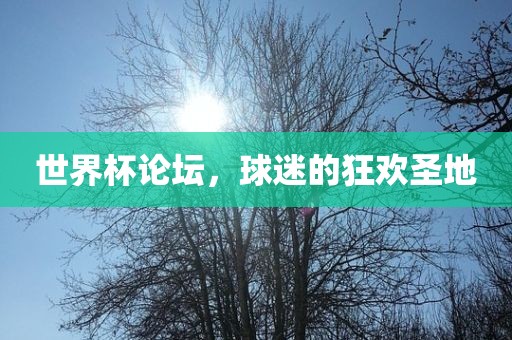 世界杯论坛，球迷的狂欢圣地