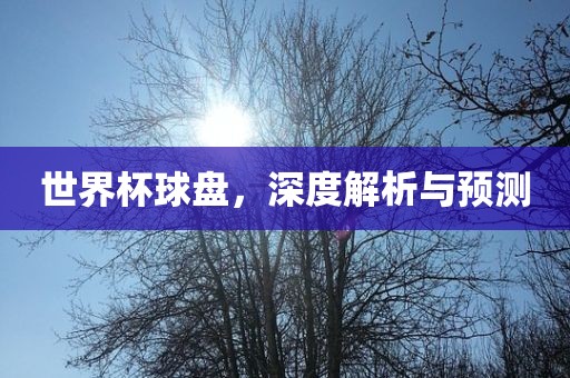 世界杯球盘，深度解析与预测