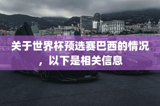 关于世界漯河市盈旭机械设备有限公司杯预选赛巴西的情况，以下是相关信息
