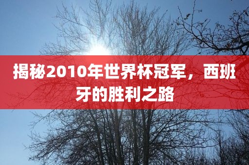 揭秘2010年世界杯冠军，西班牙的胜利之路
