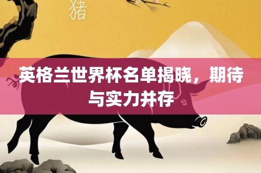英格兰世界杯名单揭晓，期待与实力并存