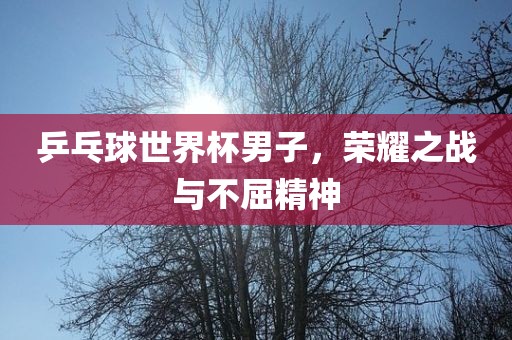 乒乓球世界杯男子，荣耀之战与不屈精神
