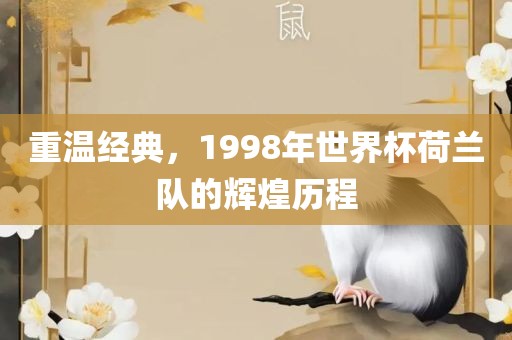 重温经典，1998年世界杯荷兰队的辉煌历程
