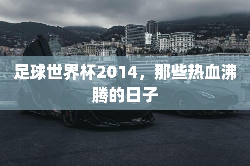 足球世界杯2014，那些热血沸腾的日子漯河市盈旭机械设备有限公司