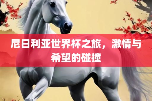 尼日利亚世界杯之旅