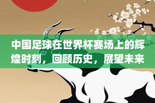 中国足球在世界杯赛场上的辉煌时刻，回顾历史，展望未来