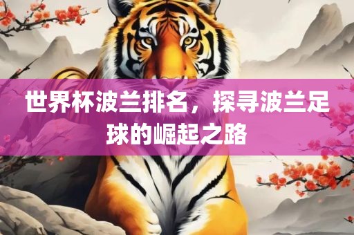 世界杯波兰排名，探寻波兰足球的崛起之路