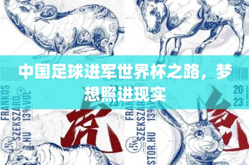 中国足球进军世界杯之路，梦想照进现实