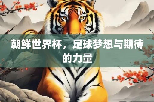 朝鲜世界杯，足球梦想与期待的力量