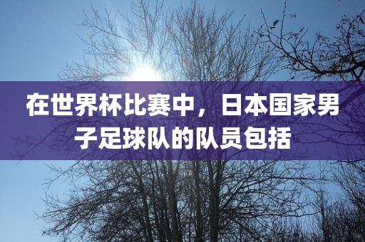 在世界杯比赛中，日本国家男子足球队的队员包括漯河市盈旭机械设备有限公司
