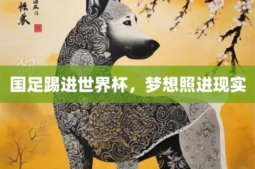 国足踢进世界杯，梦想照进现实