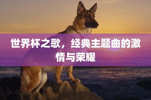 世界杯之歌，经典主题曲的激情与荣耀