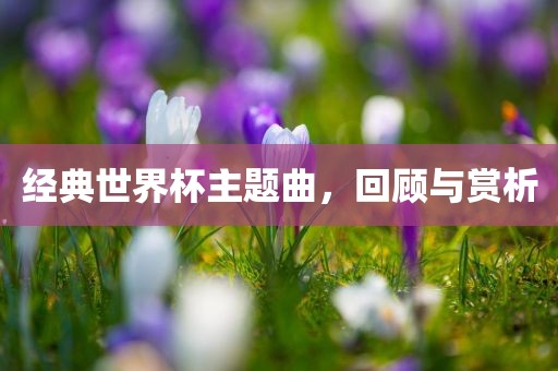 经典世界杯主题曲，回顾与赏析漯河市盈旭机械设备有限公司