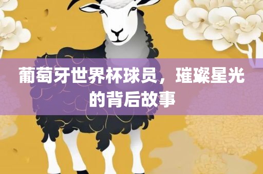 葡萄牙世界杯球员，璀璨星光的背后故事