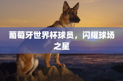 葡萄牙世界杯球员，闪耀球场之星