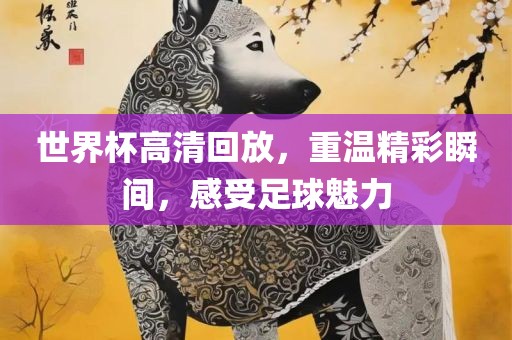 世界杯高清回放，重温精彩瞬间，感受足球魅力漯河市盈旭机械设备有限公司