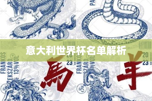 意大利世界杯名单解析