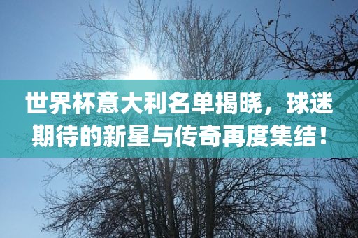 世界杯意大利名单揭晓，球迷期待的新星与传奇再度集结！