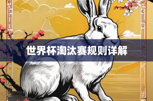 世界杯淘汰赛规则详解漯河市盈旭机械设备有限公司