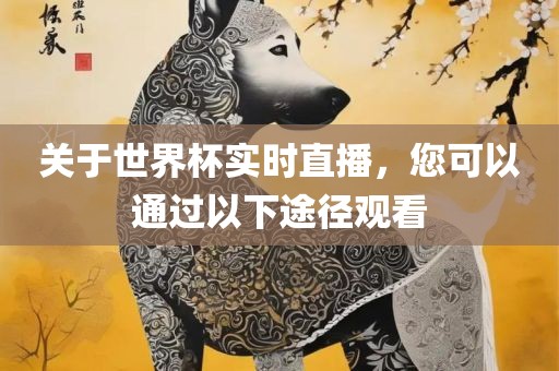 关于世界杯实时直播，您可以通过以下途径观看