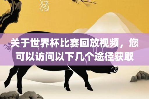 关于世界杯比赛回放视频，您可以访问以下几个途径获取漯河市盈旭机械设备有限公司