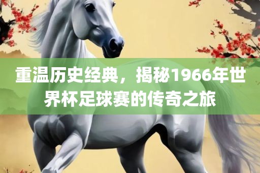 重温历史经典，揭秘1966年世界杯足球赛的传奇之旅漯河市盈旭机械设备有限公司