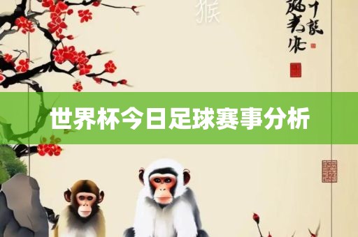 世界杯今日足球赛事分析