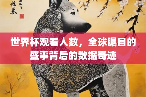 世界杯观看人数，全球瞩目的盛事背后的数据奇迹