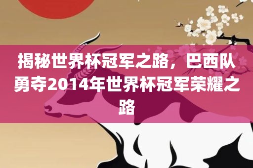 揭秘世界杯冠军之路，巴西队勇夺2014年世界杯冠军荣耀之路