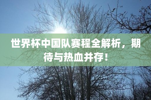 世界杯中国队赛程全解析，期待与热血并存！