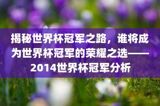 揭秘世界杯冠军之路，谁将成为世界杯冠军的荣耀之选——2014世界杯冠军分析漯河市盈旭机械设备有限公司