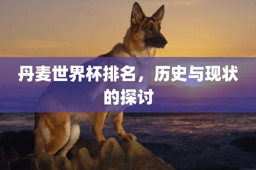 丹麦世界杯排名，历史与现状的探讨漯河市盈旭机械设备有限公司