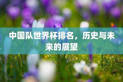 中国队世界杯排名，历史与未来的展望漯河市盈旭机械设备有限公司