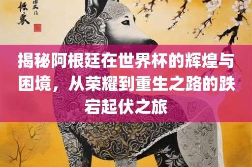 揭秘阿根廷在世界杯的辉煌与困境，从荣耀到重生之路的跌宕起伏之旅