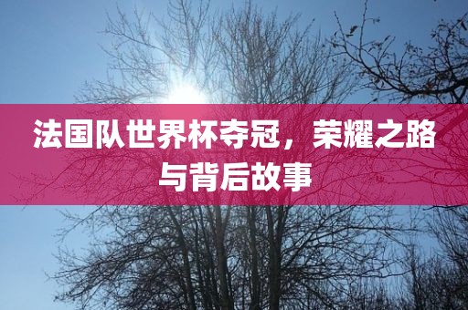 法国队世界杯夺冠，荣耀之路与背后故事
