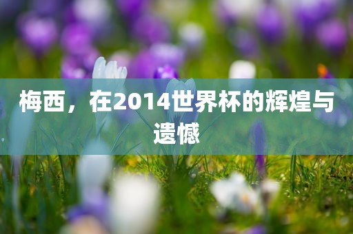 梅西，在2014世界杯的辉煌与遗憾漯河市盈旭机械设备有限公司