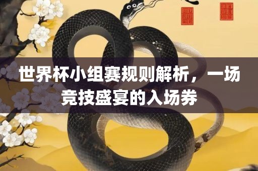 世界杯小组赛规则解析，一场竞技盛宴的入场券