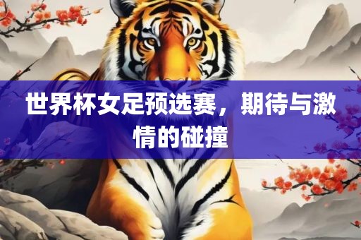 世界杯女足预选赛，期待与激情的碰撞