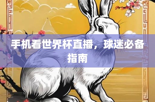 手机看世界杯直播，球迷必备指南漯河市盈旭机械设备有限公司